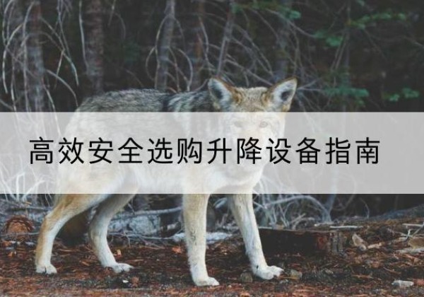 怀安升降货梯厂家推荐-*安全选购升降设备指南