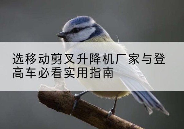 怀安电动升降机厂家-选移动剪叉升降机厂家与登高车必看实用指南